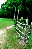 Penn Farm-0626