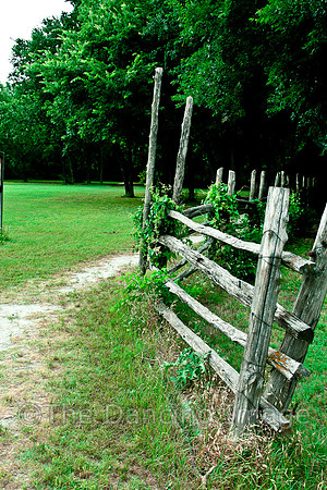 Penn Farm-0626