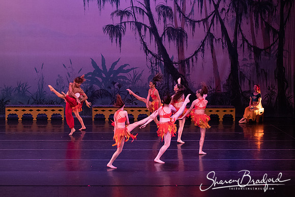 TDC La Bayadere pc Sharen Bradford-2960