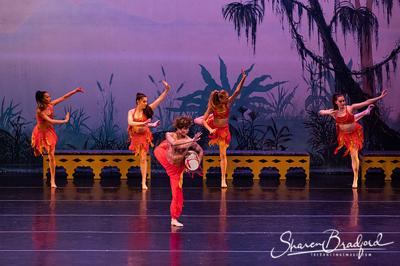TDC La Bayadere pc Sharen Bradford-2983