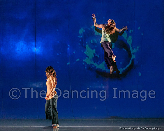 Motionhouse SCATTERED-0314