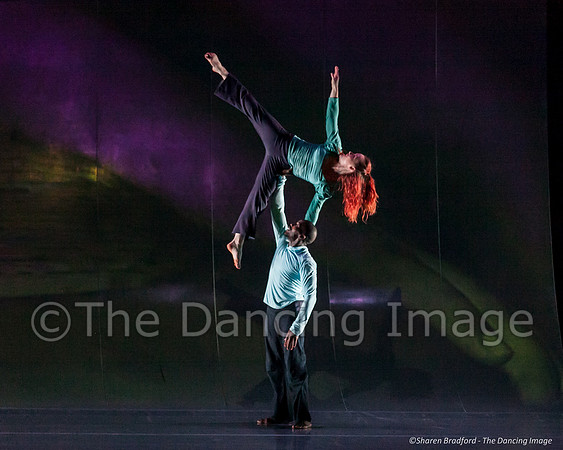 Motionhouse SCATTERED-0738