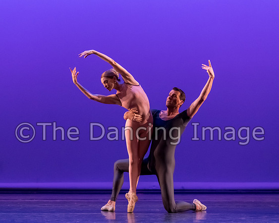 Dream on a Cirrus Sky-6519