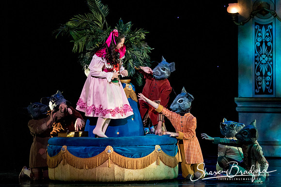 Nutcracker matinee pc Sharen Bradford-4746