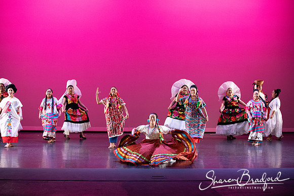 Mujer Oaxaquena pc Sharen Bradford-40845