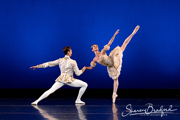 Texas Ballet Theater pc Sharen Bradford-1184
