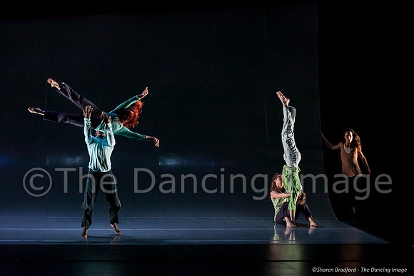 Motionhouse SCATTERED-0767