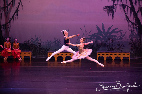 TDC La Bayadere pc Sharen Bradford-3110