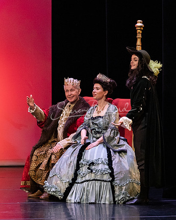 Ballet NTX Sleeping Beauty pc Sharen Bradford-1677