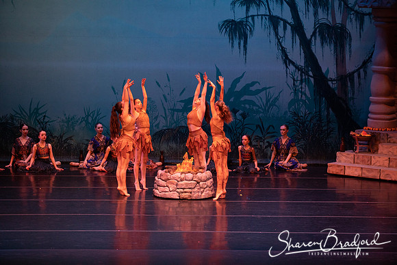 TDC La Bayadere pc Sharen Bradford-2497