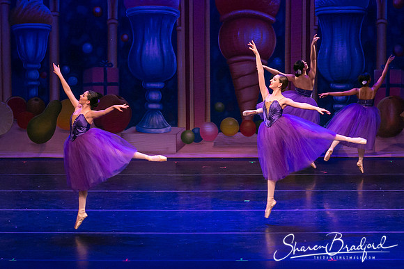 Waltz of the Flowers pc Sharen Bradford-1788