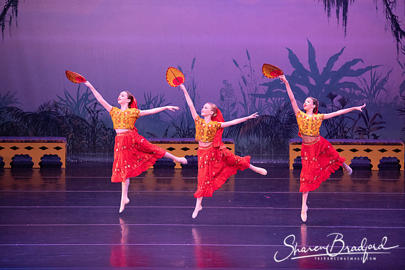 TDC La Bayadere pc Sharen Bradford-2899