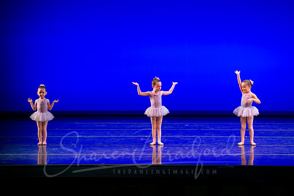 Water Lillies-0286