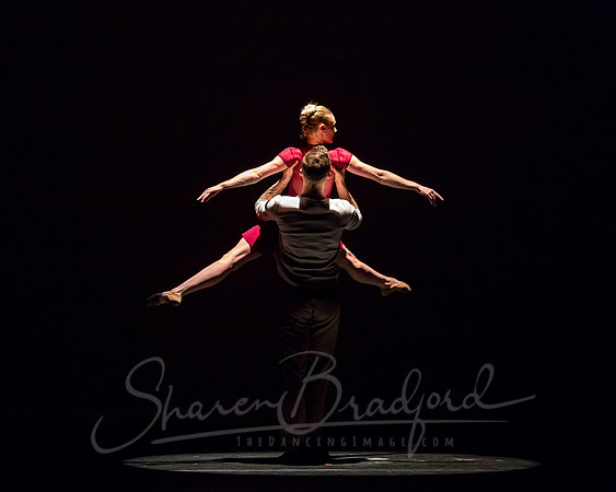 Falling Light pc Sharen Bradford-0556