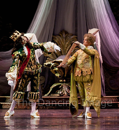 TB Sleeping Beauty Wed.-0011