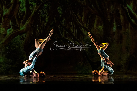 MOMIX Alice pc Sharen Bradford-0928
