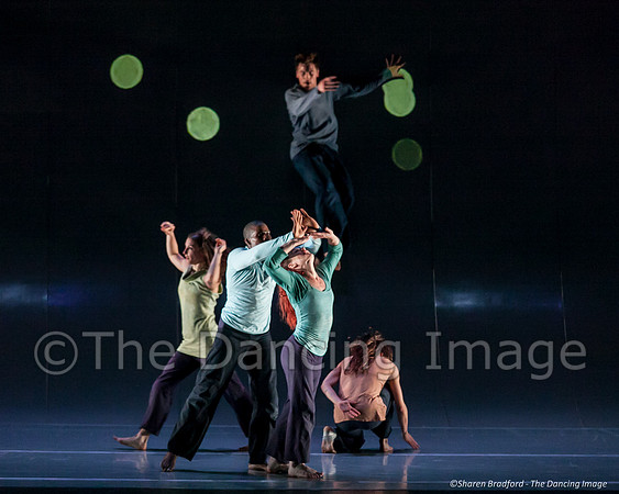 Motionhouse SCATTERED-0702