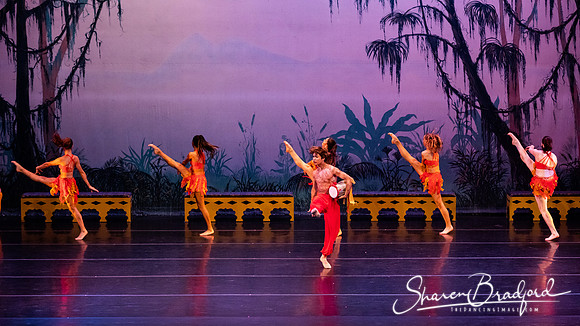 TDC La Bayadere pc Sharen Bradford-2963