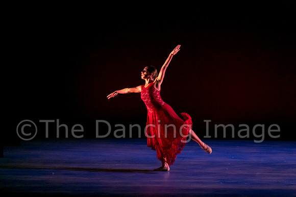 Chado Danse-2858
