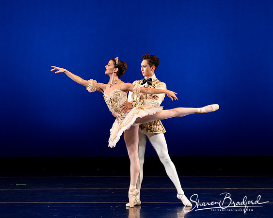 Texas Ballet Theater pc Sharen Bradford-1242
