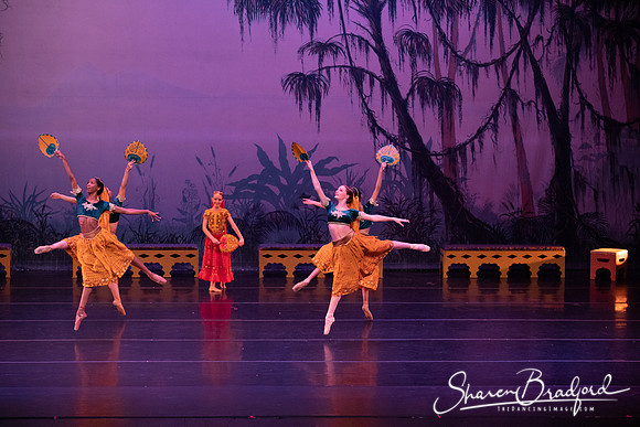 TDC La Bayadere pc Sharen Bradford-2908