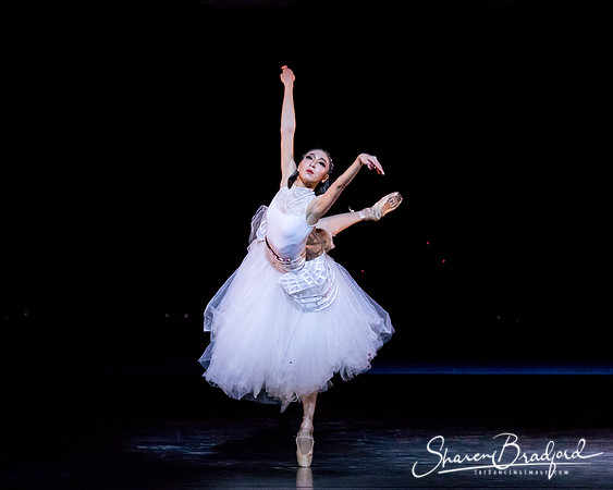 Beijing Dance Theater pc Sharen Bradford-0189