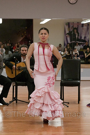 Flamenco-2-27