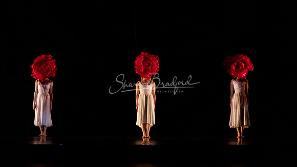 MOMIX Alice pc Sharen Bradford-1120