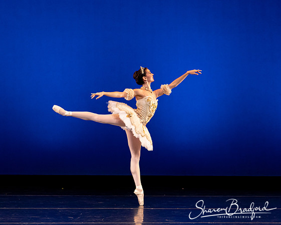 Texas Ballet Theater pc Sharen Bradford-1308