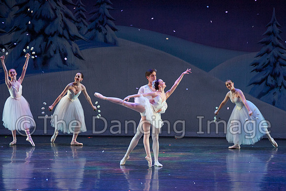 Snow-1024