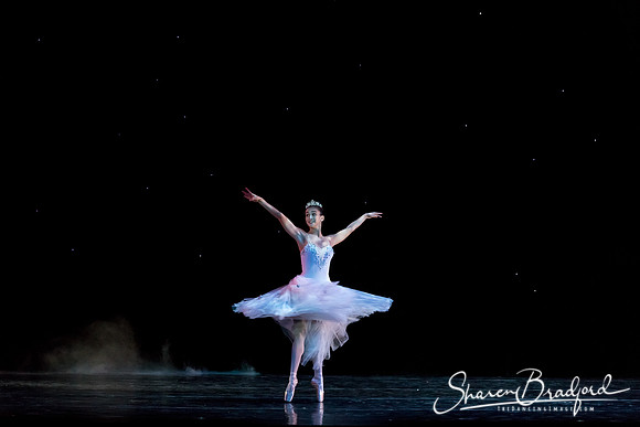 ASFB Nutcracker pc Sharen Bradford-0094