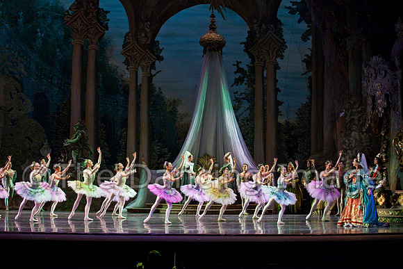 TB Sleeping Beauty Wed.-0093