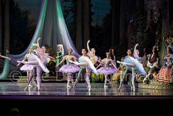 TB Sleeping Beauty Wed.-0127