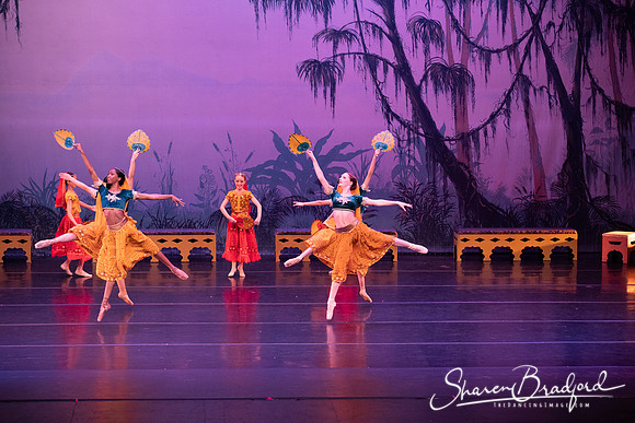 TDC La Bayadere pc Sharen Bradford-2882