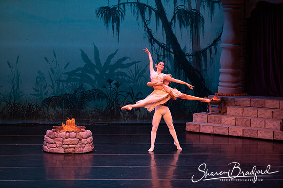 TDC La Bayadere pc Sharen Bradford-2614