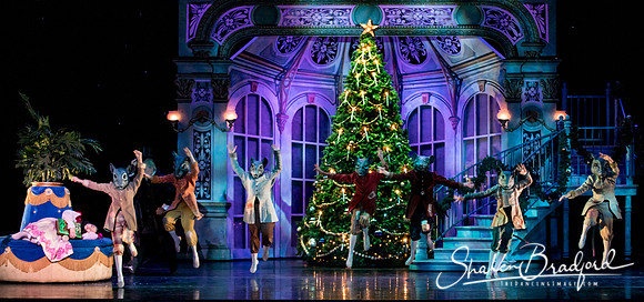 Nutcracker matinee pc Sharen Bradford-4686
