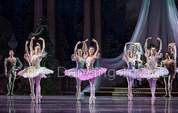 TB Sleeping Beauty Wed.-0074