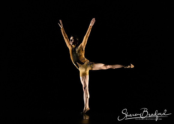 ASFB Beautiful Decay pc Sharen Bradford-0130