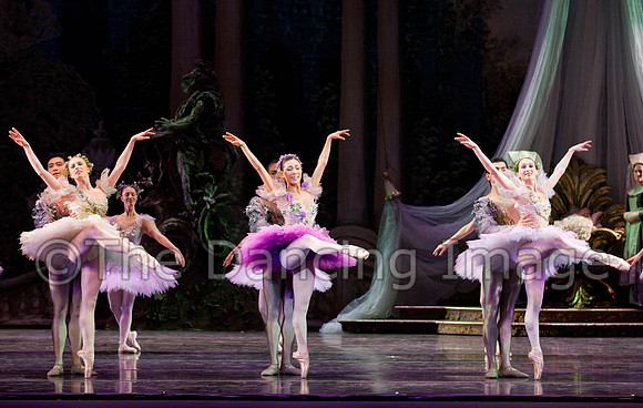 TB Sleeping Beauty Wed.-0131