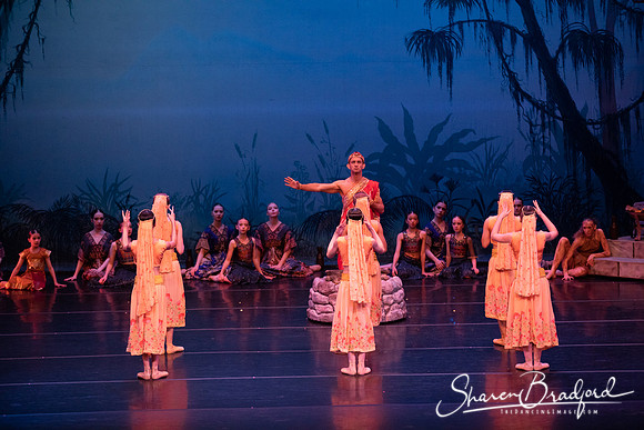 TDC La Bayadere pc Sharen Bradford-2444