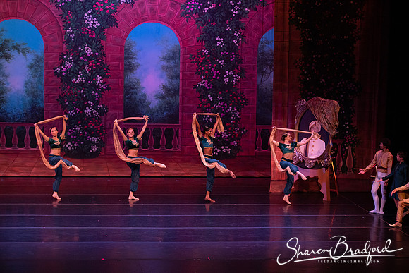TDC La Bayadere pc Sharen Bradford-2712