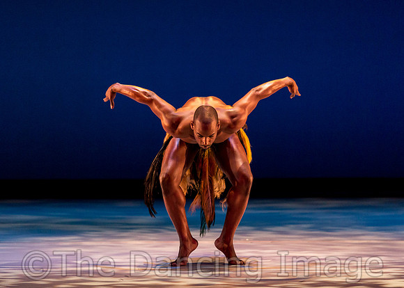 Awassa Astrige Ostrich-0331