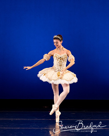 Texas Ballet Theater pc Sharen Bradford-1302