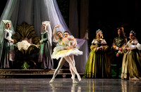 TB Sleeping Beauty Wed.-0018