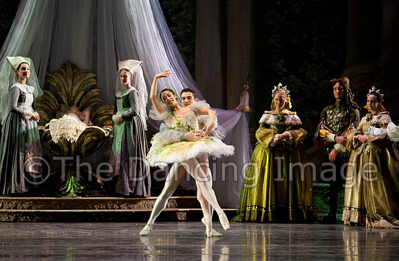 TB Sleeping Beauty Wed.-0018