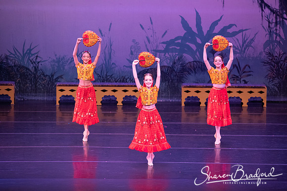 TDC La Bayadere pc Sharen Bradford-2868