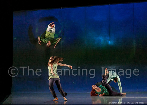 Motionhouse SCATTERED-0263