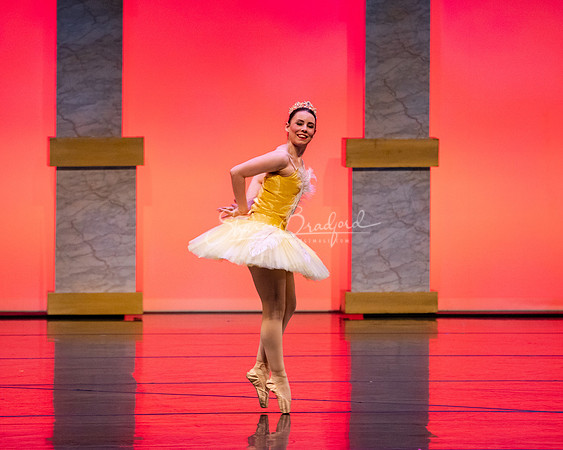 Ballet NTX Sleeping Beauty pc Sharen Bradford-0202