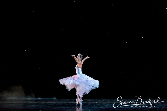 ASFB Nutcracker pc Sharen Bradford-0093