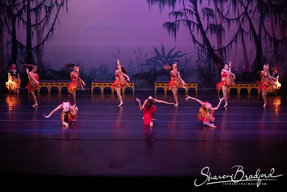TDC La Bayadere pc Sharen Bradford-3029
